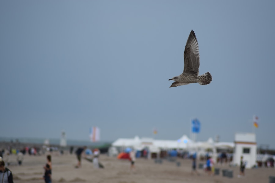 Warnemünder Woche – Bild 1